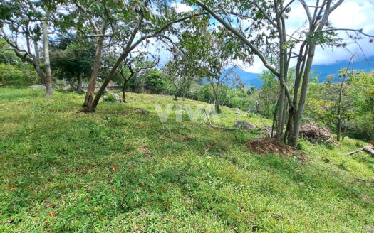 ESPECTACULAR FINCA CHINAUTA