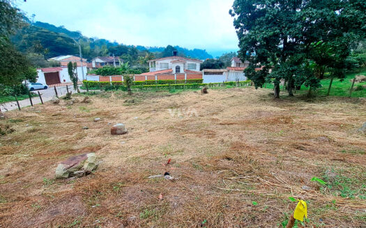 ESPECTACULAR LOTE ESQUINERO SILVANIA