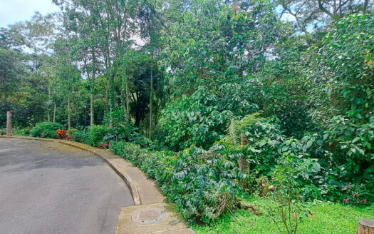 LOTE CON LICENCIA EN CONJUNTO CERRADO SILVANIA