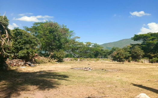 EXCELENTE LOTE EN CHINAUTA