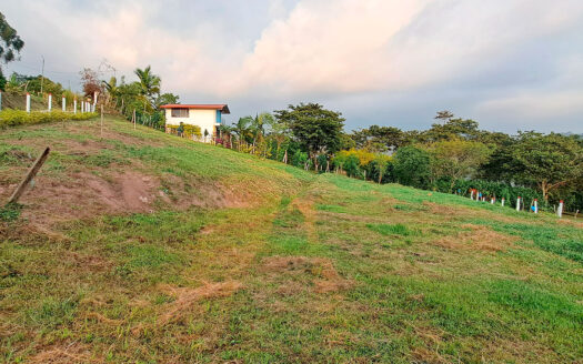 EXCELENTES LOTES EN VENTA SILVANIA