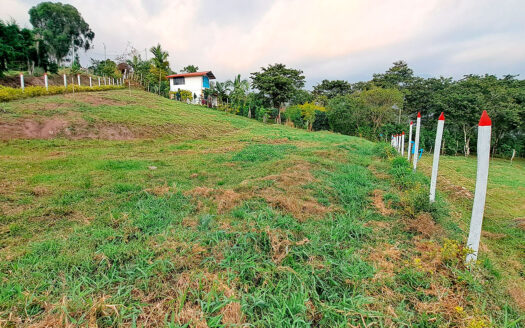 EXCELENTES LOTES EN VENTA SILVANIA