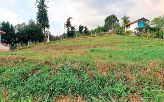 EXCELENTES LOTES EN VENTA SILVANIA