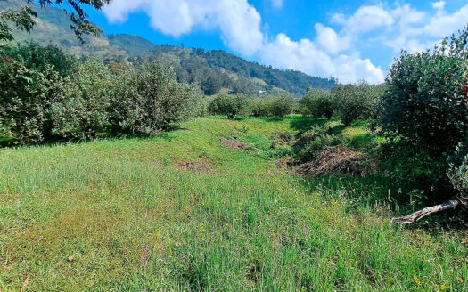 EXCELENTE FINCA EN SUBIA