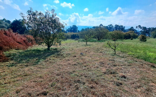EXCELENTE FINCA EN SUBIA