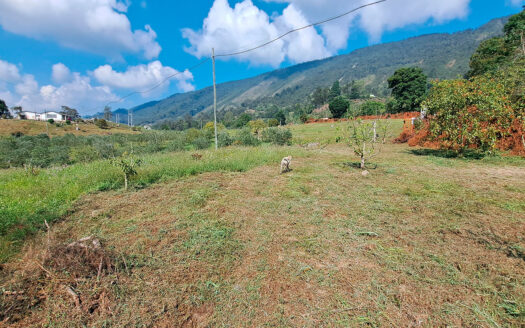 EXCELENTE FINCA EN SUBIA