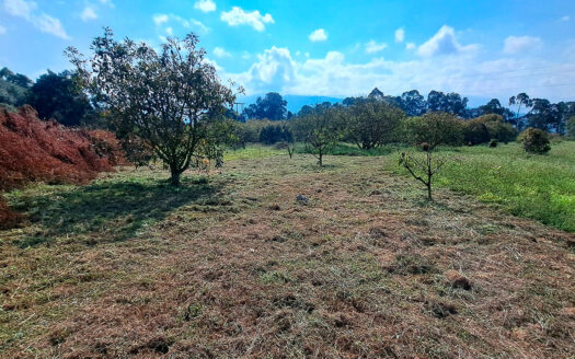 EXCELENTE FINCA EN SUBIA