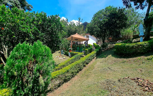 EXCELENTE CASA LOTE EN SILVANIA
