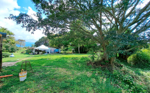 EXCELENTE FINCA EN CHINAUTA