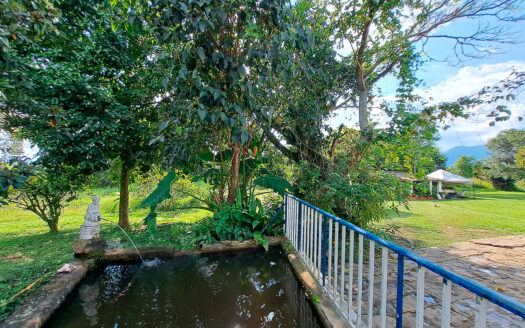 EXCELENTE FINCA EN CHINAUTA