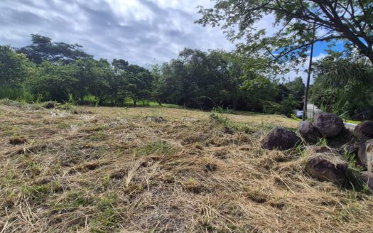 LOTE EN CONJUNTO CHINAUTA