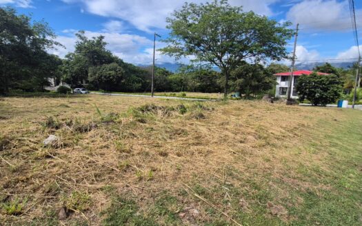 LOTE EN CONJUNTO CHINAUTA
