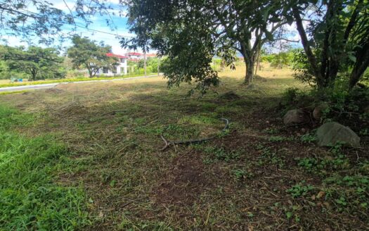 LOTE EN CONJUNTO CHINAUTA
