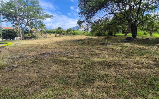 LOTE EN CONJUNTO CHINAUTA