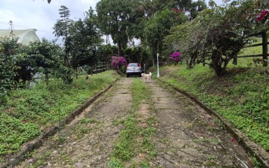 ESPECTACULAR FINCA 13 FANEGADAS