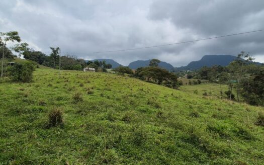 ESPECTACULAR FINCA 13 FANEGADAS