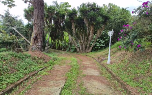 ESPECTACULAR FINCA 13 FANEGADAS