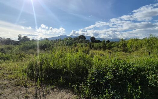 LOTE EN CONDOMINIO CAMPESTRE