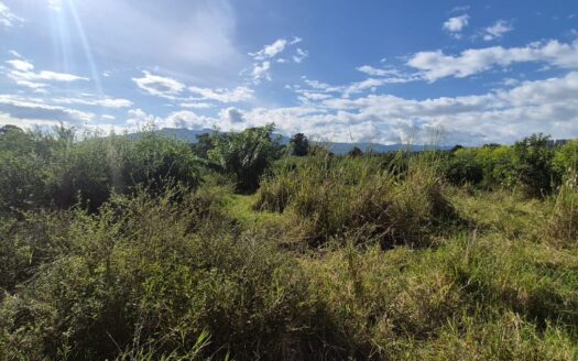 LOTE EN CONDOMINIO CAMPESTRE