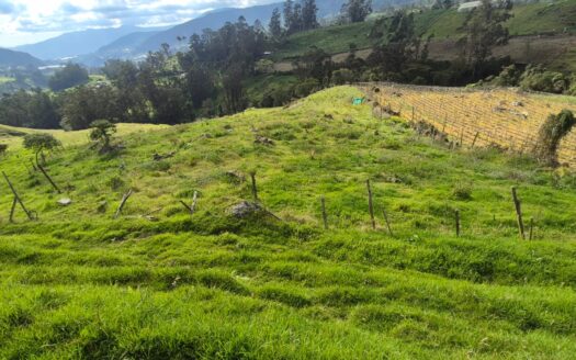 Finca de 14.8 fanegadas en pasca