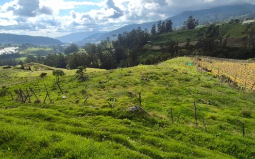 Finca de 14.8 fanegadas en pasca