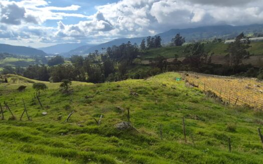Finca de 14.8 fanegadas en pasca