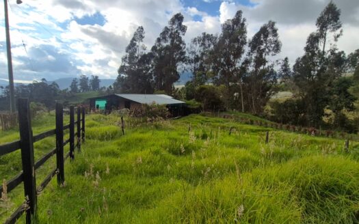 Finca de 14.8 fanegadas en pasca
