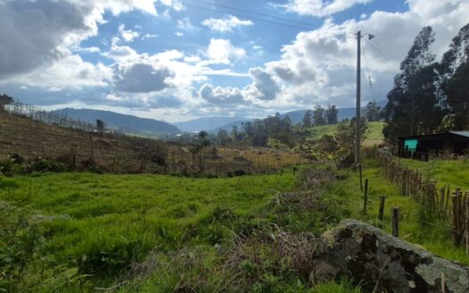 Finca de 14.8 fanegadas en pasca