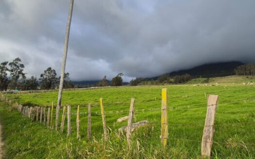Finca en Pasca 7.5 Hta
