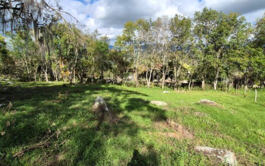 Lote de 20.000 m2 entre sil – Tibacuy