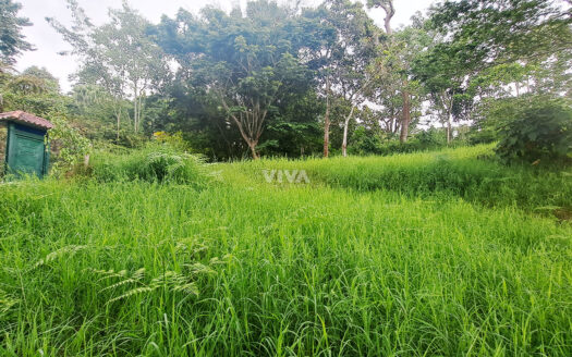 LOTE DE 4740 M2 OPORTUNIDAD