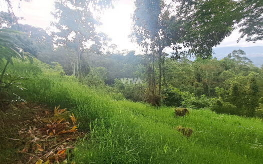 LOTE DE 4740 M2 OPORTUNIDAD