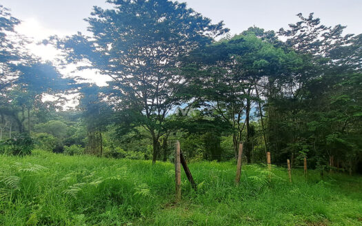 LOTE DE 4740 M2 OPORTUNIDAD