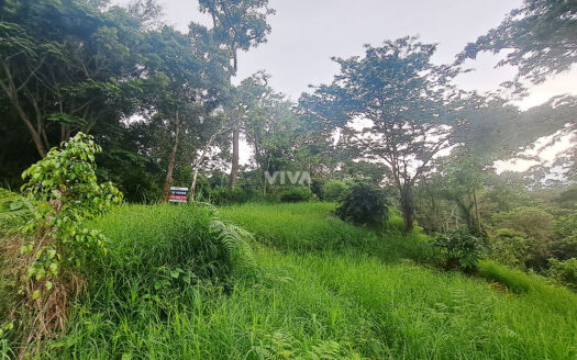 LOTE DE 4740 M2 OPORTUNIDAD