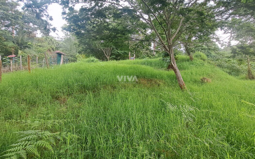 LOTE DE 4740 M2 OPORTUNIDAD